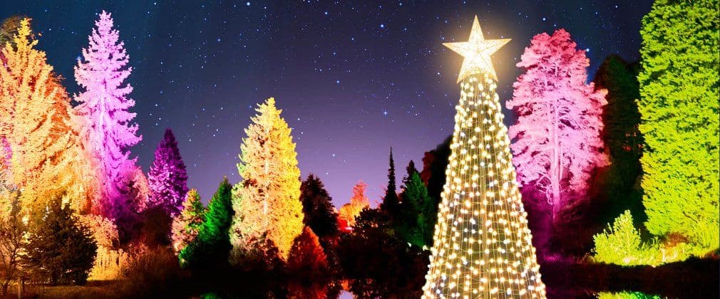 Дизайнерууд гацуур модоо хэрхэн чимэглэдэг вэ