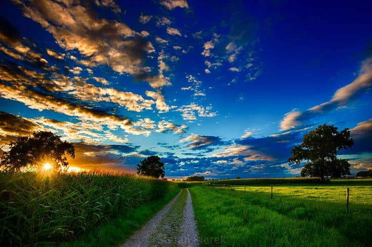 Цэвэр агаар ба эрүүл мэндийн уялдаа